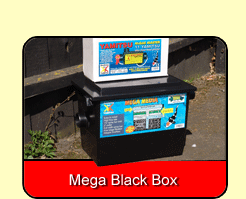 Mega Black Box