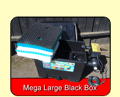 Mega Large Black Box
