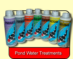 Pond Water Treatments