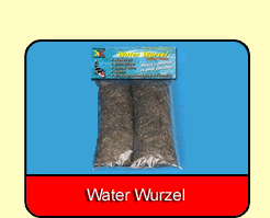 Water Wurzel